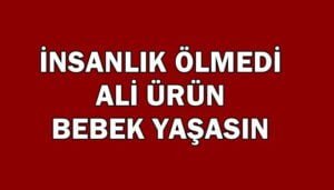 ali bebek
