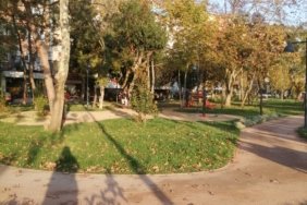 IMG_20211104_165501