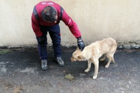 IMG_20211130_133358