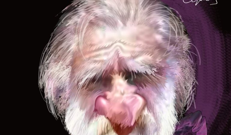 FB_IMG_1643876224850