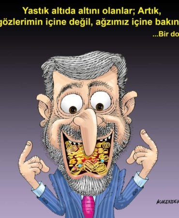 FB_IMG_1644863303331