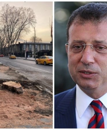 Collage_20220317_125332