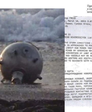 Collage_20220320_015525