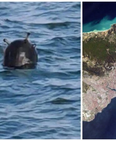 Collage_20220327_004754