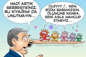 FB_IMG_1646308404288
