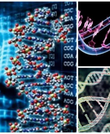 Collage_20220403_141811