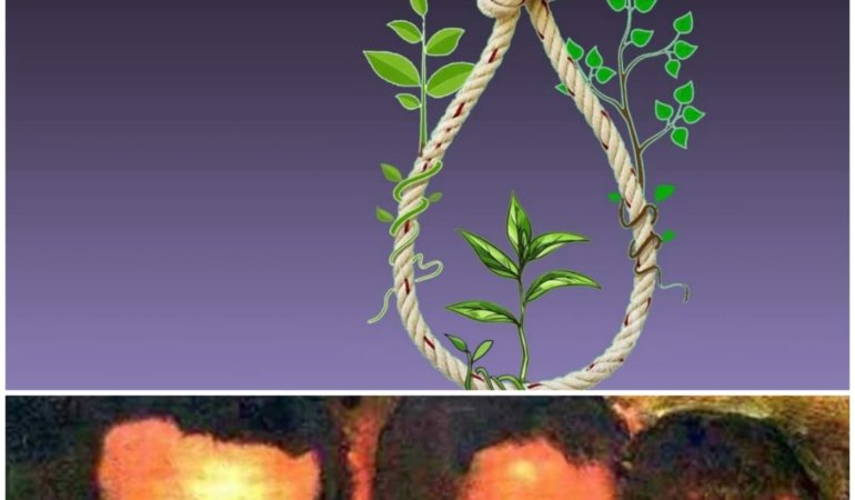 Öznur Kalender, 3 Fidan’ı Çizdi…