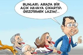FB_IMG_1651853756482