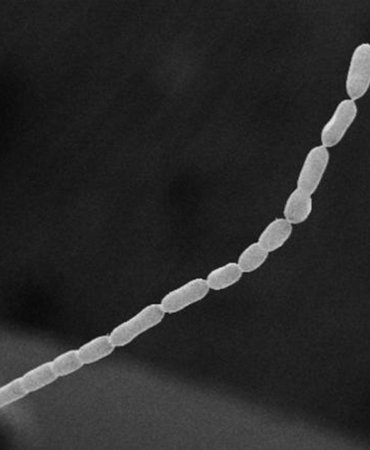 8658b474fcba48209b471cc3fd6ba1bec158cb3f