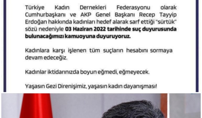 TKDF’den Cumhurbaşkanı’nın Sürtük Hakareti Hakkında Suç Duyurusu