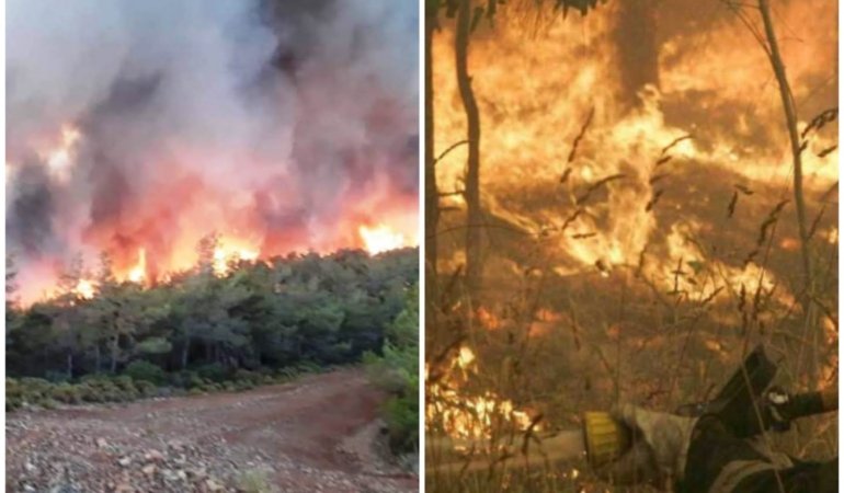 Marmaris Yangını ve Büyük Yıkımın Bilançosu