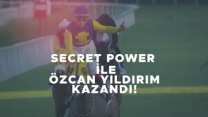 özcan yıldırım