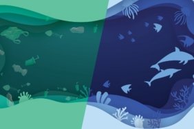web-site-gorsel-marmarahepimizin2-scaled