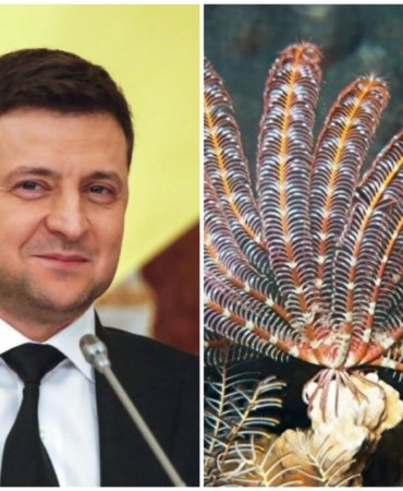 Collage_20220723_092238