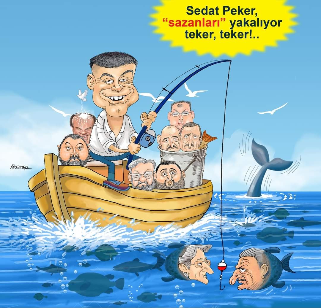 FB_IMG_1657014563023