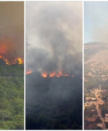 Collage_20220907_210137