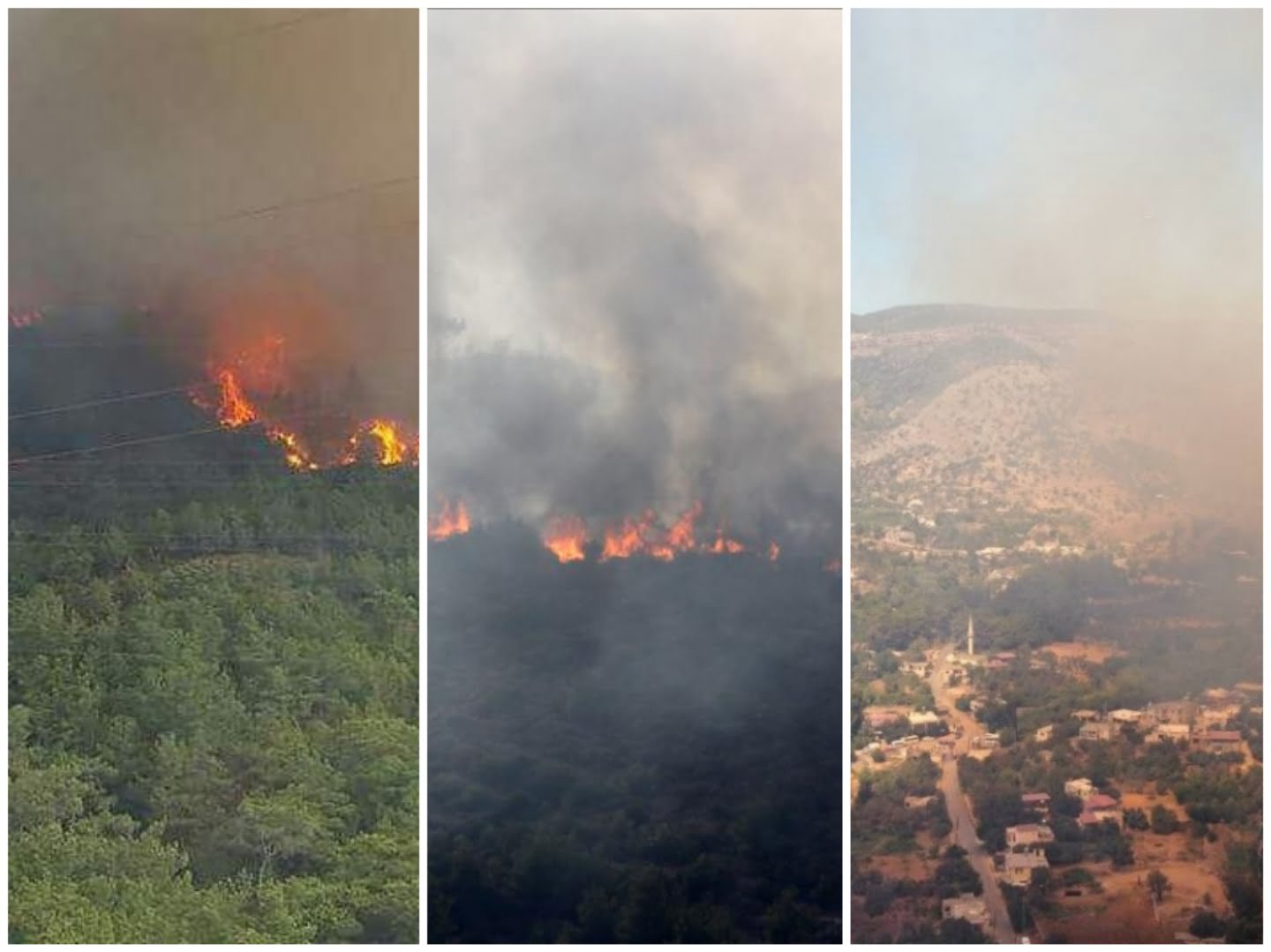 Collage_20220907_210137