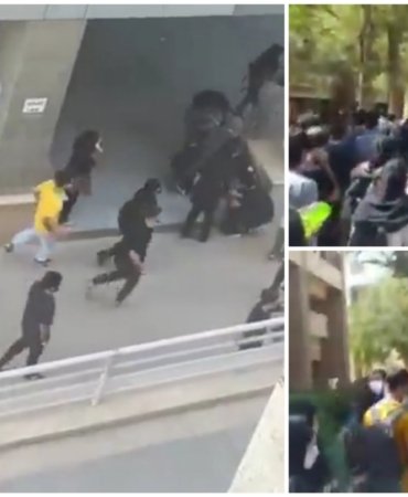 Collage_20221001_132521