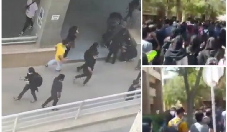 Collage_20221001_132521