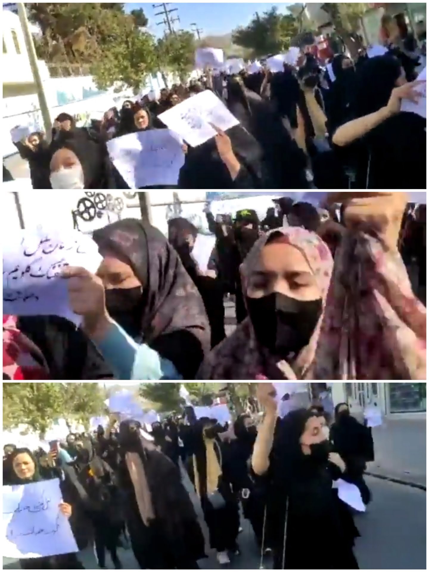 Collage_20221003_133245