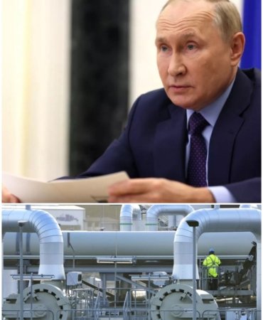 Collage_20221013_134529