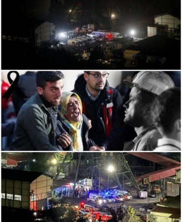 Collage_20221015_115406