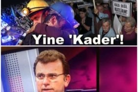 Collage_20221024_132305