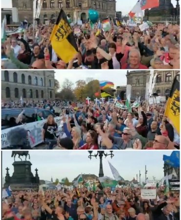 Collage_20221031_144743