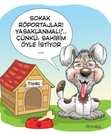 FB_IMG_1665572545128