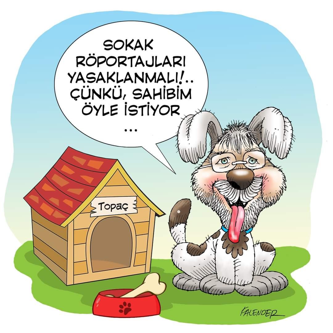 FB_IMG_1665572545128