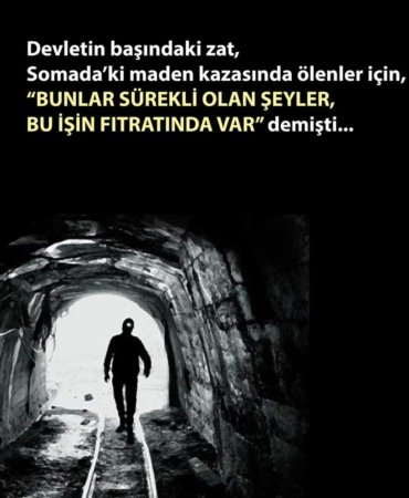 FB_IMG_1665836694911