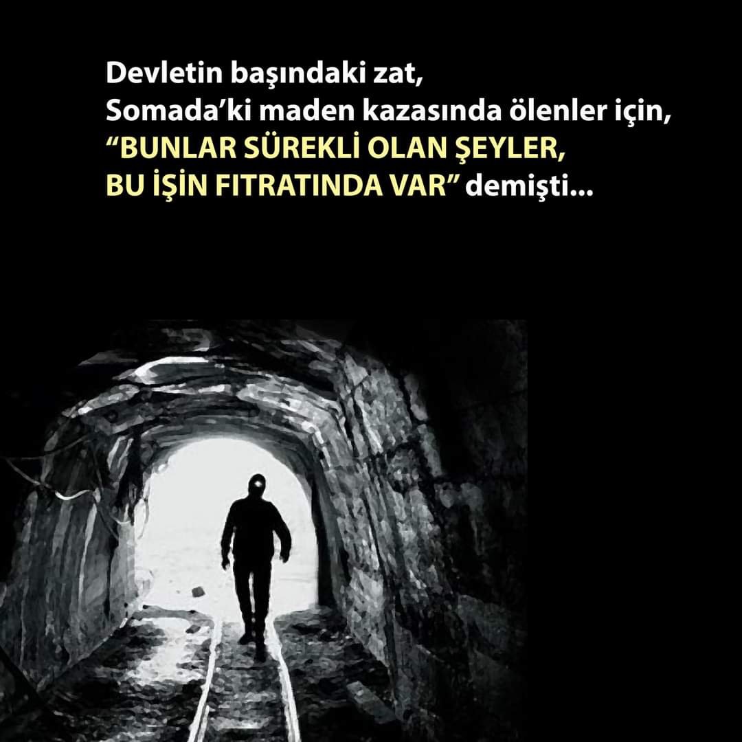 FB_IMG_1665836694911