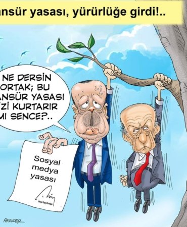 FB_IMG_1666180487702