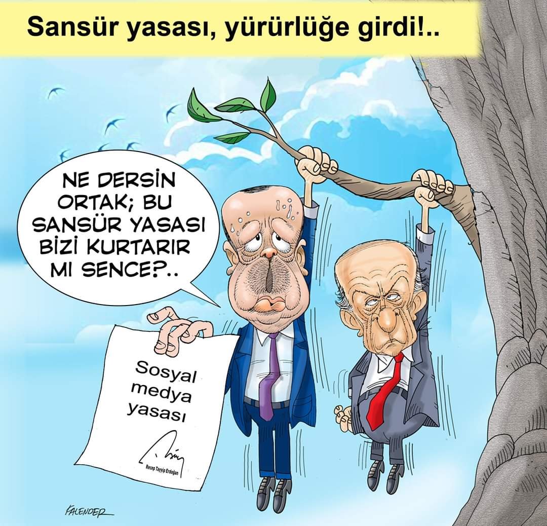 FB_IMG_1666180487702