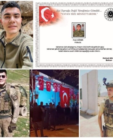 Collage_20221107_150931