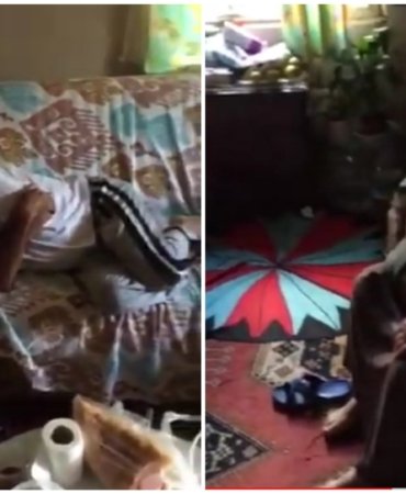 Collage_20221109_091335