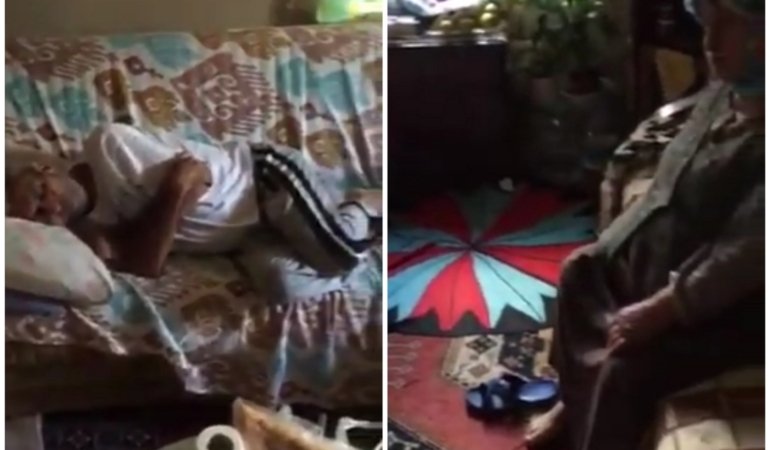 Collage_20221109_091335