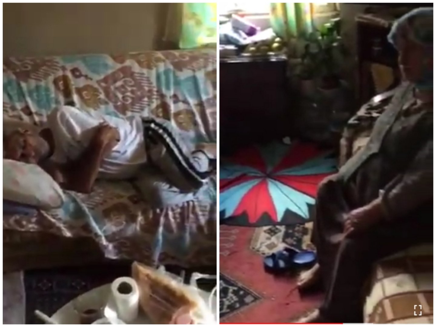 Collage_20221109_091335