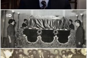 Collage_20221110_155842
