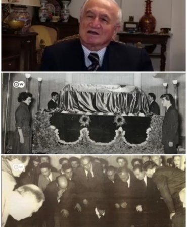 Collage_20221110_155842