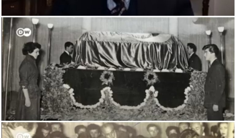 Collage_20221110_155842