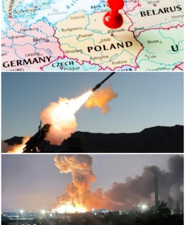 Collage_20221116_142540