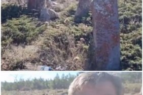 Collage_20221117_153451