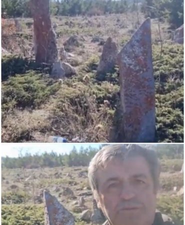 Collage_20221117_153451