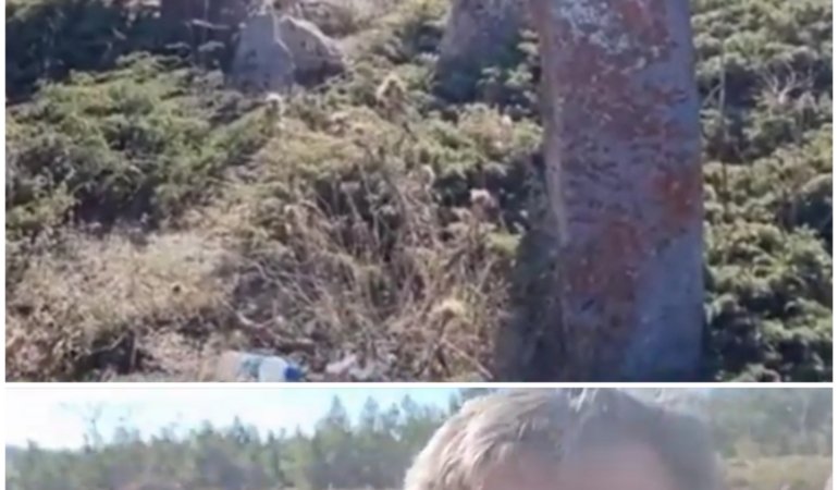 Collage_20221117_153451