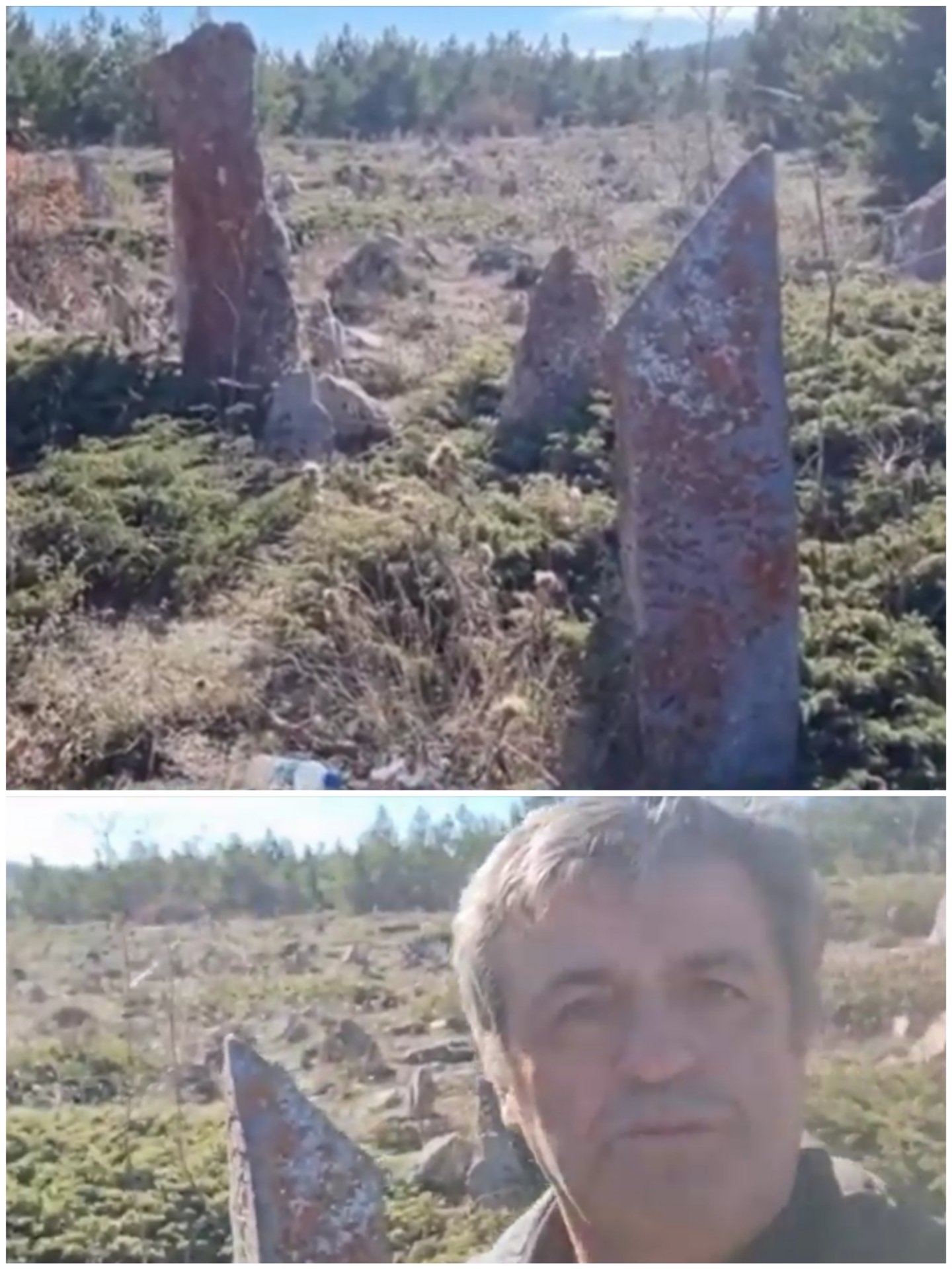 Collage_20221117_153451