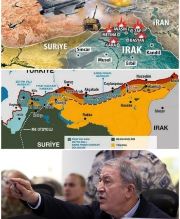 Collage_20221120_141030