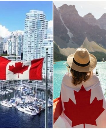 Collage_20221124_110318