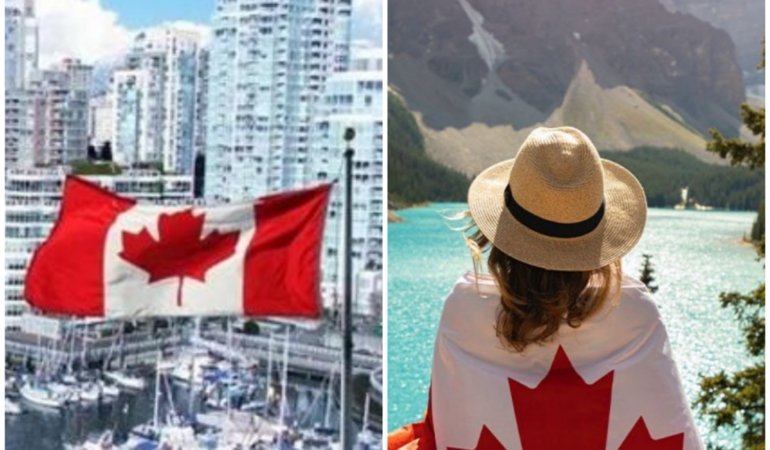 Collage_20221124_110318