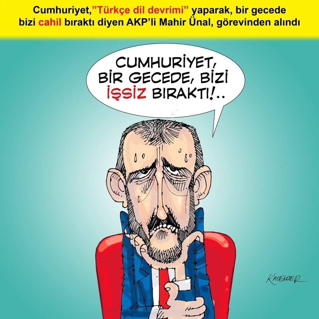 FB_IMG_1667313969185